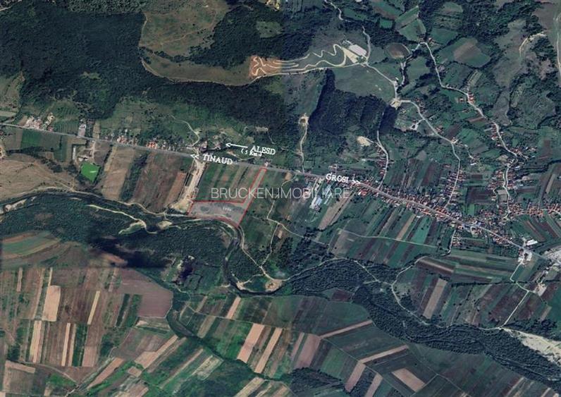 TEREN INTRAVILAN + EXTRAVILAN | AUSEU - 2