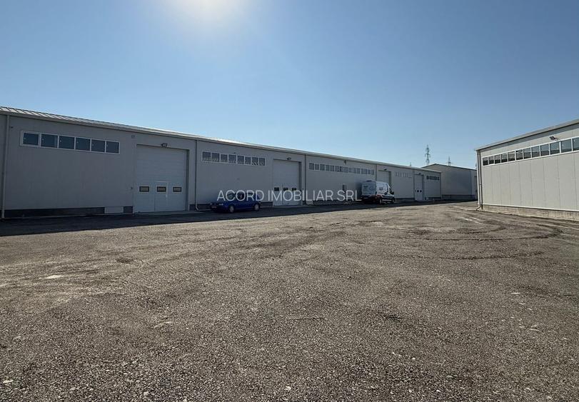 Zona industriala Hala Noua,ideala depozitare zona logistica. - 11