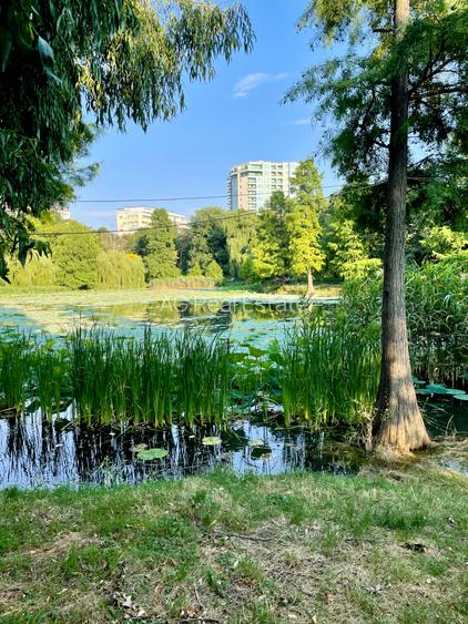 Inchiriere 2 Camere Parcul Circului La cheie-Vedere in parc-Parcare - 19