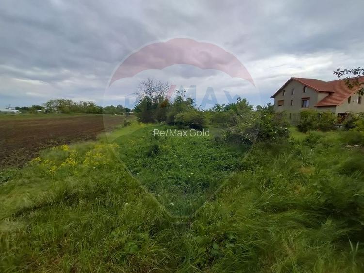 Teren 3,700mp Gulia/DN7 -20 km fata de Pta Victoriei -ideal investitie - 7