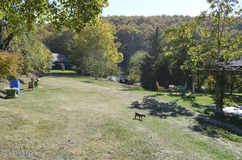 Topoloveni - Conacul Ion Mihalache, Domeniu pe 5 Hectare! - 11