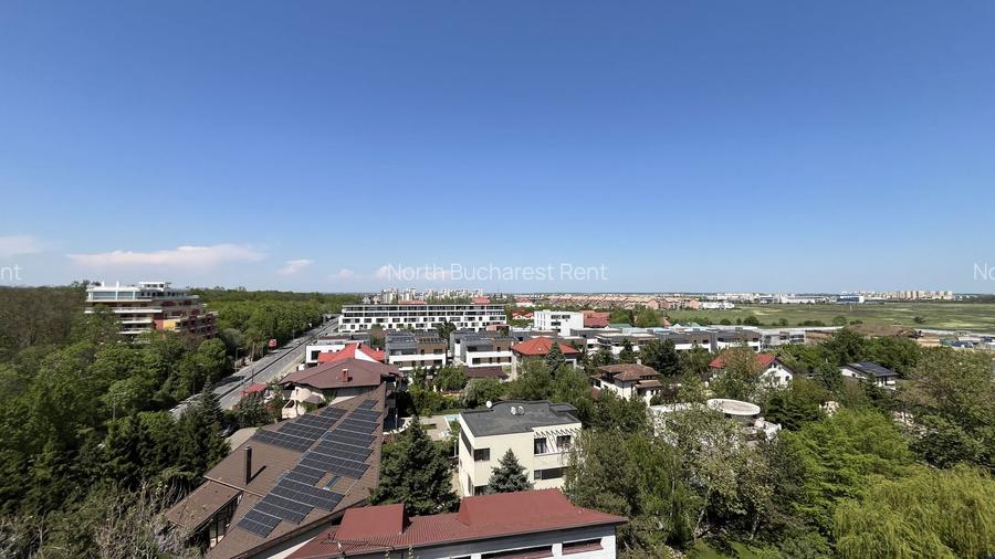 Apartament 4 camere de inchiriat superb - Prima Chirie-Iancu Nicolae - 15