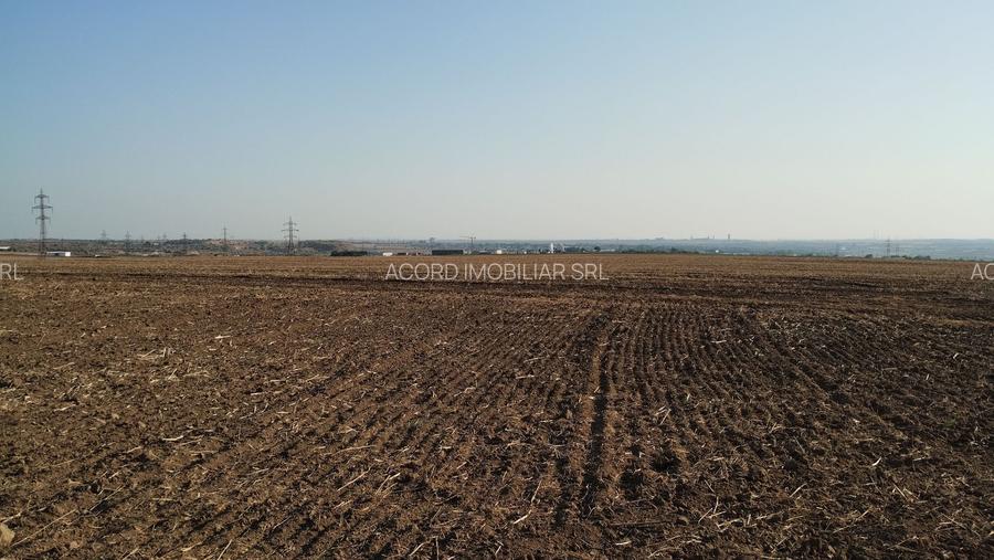 Teren pentru Parc Logistic, hale - Ovidiu - 3