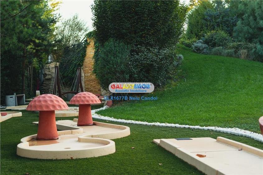 VANZARE AFACERE LA CHEIE MOGOSOIA  COUNTRY CLUB 5000 - 14