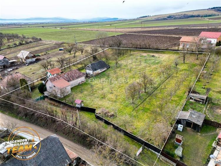 FILM! 5.000mp teren intravilan cu casuta rustica, Dalnic, Covasna - 22
