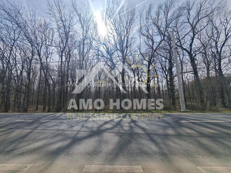 OPORTUNITATE -Teren de Vis la Marginea Pădurii – 5000 mp în Ciorogârla - 6