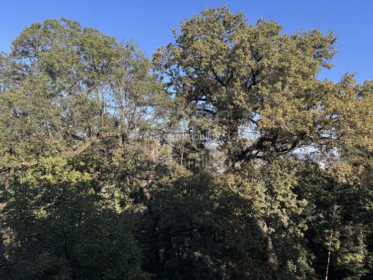 Apartament 4 camere de vanzare in Centru, Cluj Napoca - 10