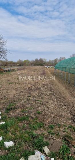 Construcție la Roșu pe Teren de 2.712 mp | Oarda – 160.000 € - 7