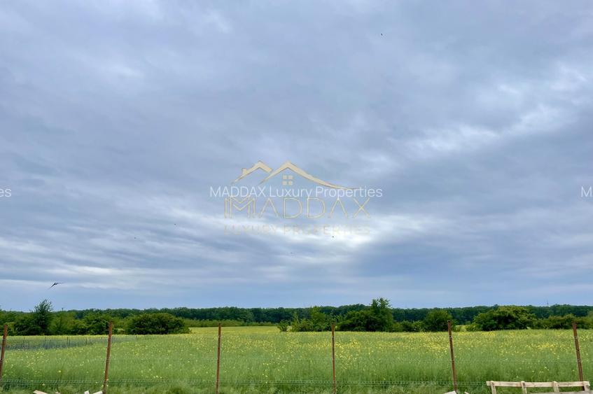 Vila exclusivista_P+1*5 Camere*Teren 704 mp*Langa Padure//Balotesti - 46