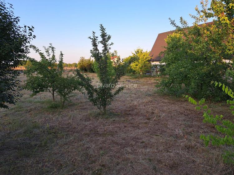 Vanzare teren intravilan imprejmuit 800mp Buftea - 2