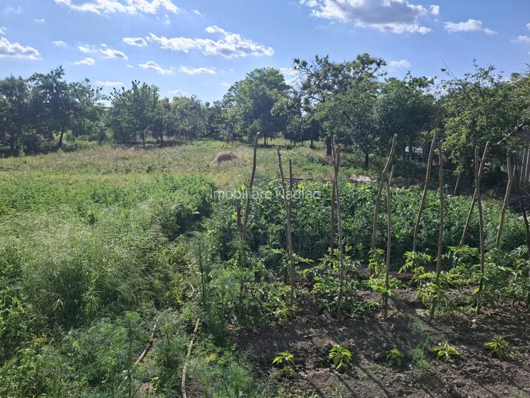 Casa 5 camere cu teren generos in Seitin judetul Arad - 20