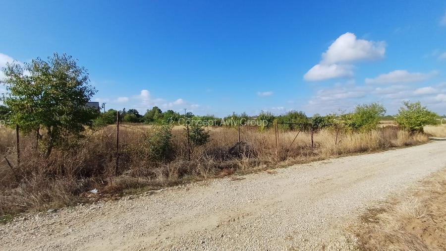 Teren Izvorani -Padure -COR - 4