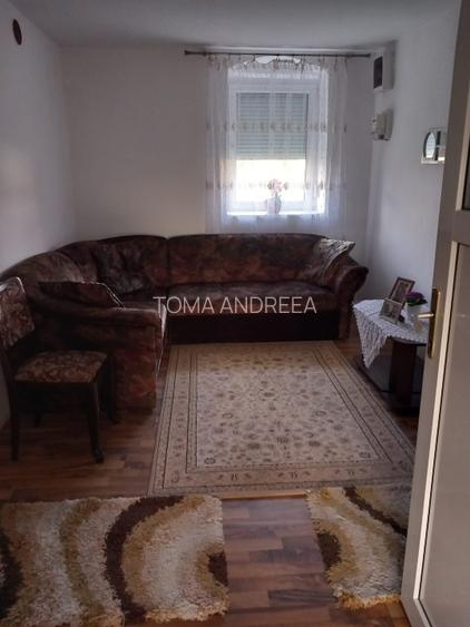 Vând casă locuită  în Zimandu Nou - 3