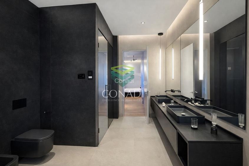 The american dream | zona Ambasadei Americii - 37