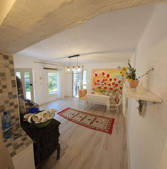 Casa individuala 160 mp - Moneasa Jud. Arad - 2