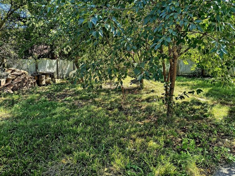 Oportunitate Investitie, casa de vacanta Bradet-Brasov - 5