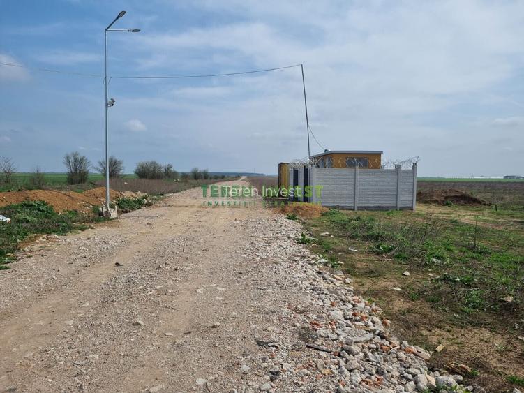 TEREN INDUSTRIAL 20.000 MP - TÂNGANU - A2 PUZ APROBAT - 7