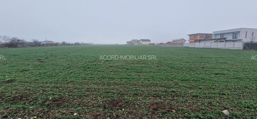 Ovidiu- Poiana, teren intravilan ideal pentru constructie case - 7