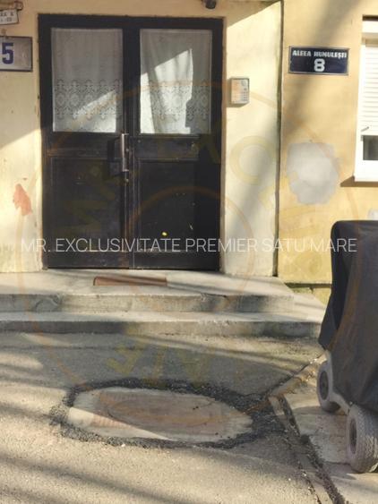 De vânzare apartament 2 camere Solidarității Satu Mare - 11