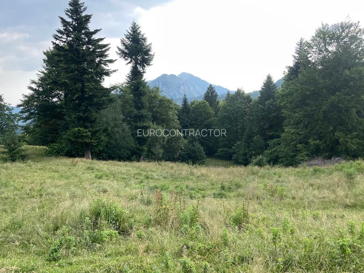 Teren intravilan dezvoltare turistica Hoteluri/Pensiuni S+P+2E+M - 10