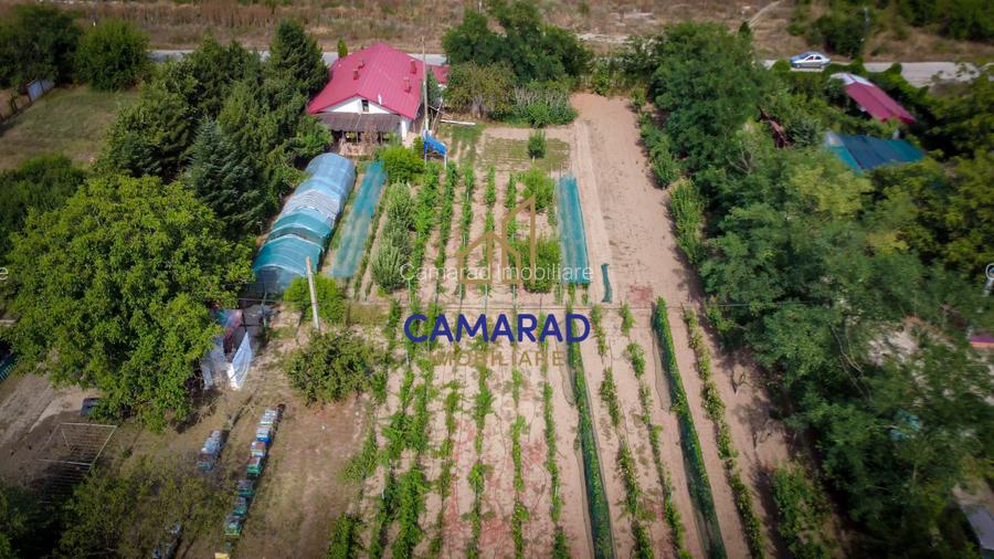 Casa - hala si teren de 9000 mp - ideal investitie - Fundeni/Calarasi - 3