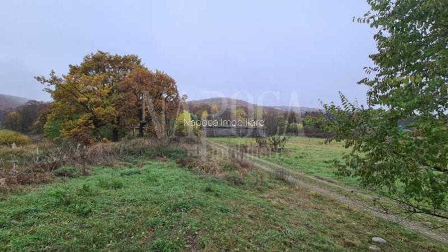 Teren intravilan industrial de vanzare in Gilau - 2