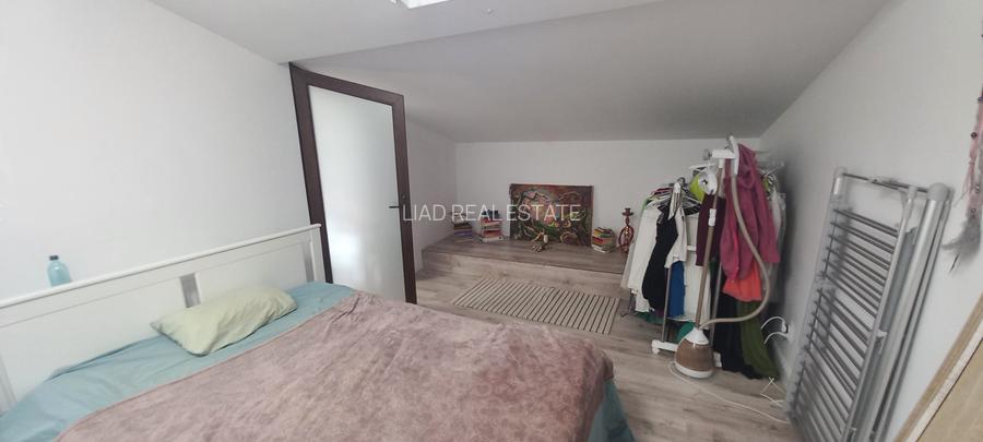 Apartament 2 camere Calea Calarasilor cu gradina - 21