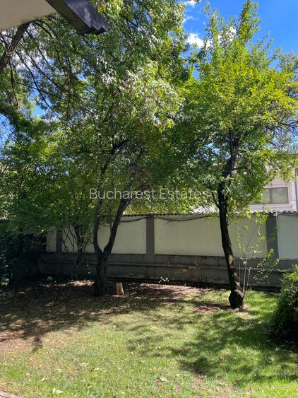 Iancu Nicolae vila 5 dormitoare gradina matura - 12