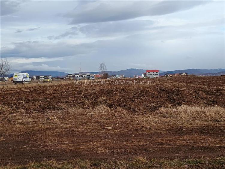 Teren 9000 mp Sacele Izvor, front 356 m la DJ 103A - 4