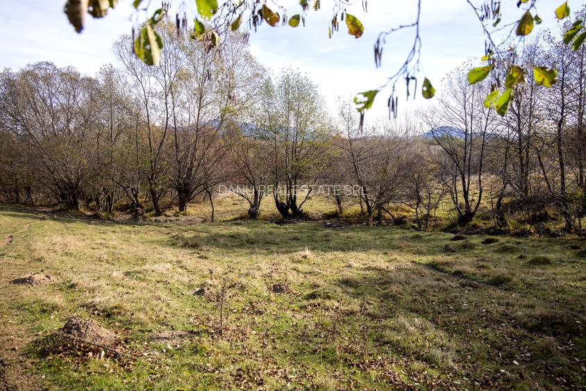 Teren intravilan 5723mp Zarnesti Tohanita- case de vacanta,investitie in turism - 5