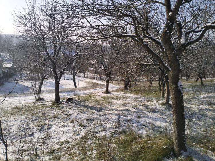 Moșia boierească din vârf de deal, Scorțeni - Prahova, comision 0% - 7