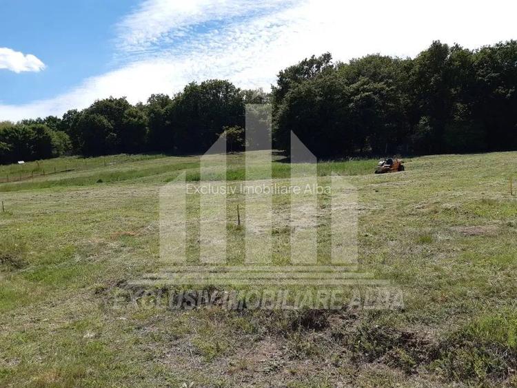 Teren intravilan | De vanzare | 791mp | 16ml deschidere | Alba-Micesti - 4
