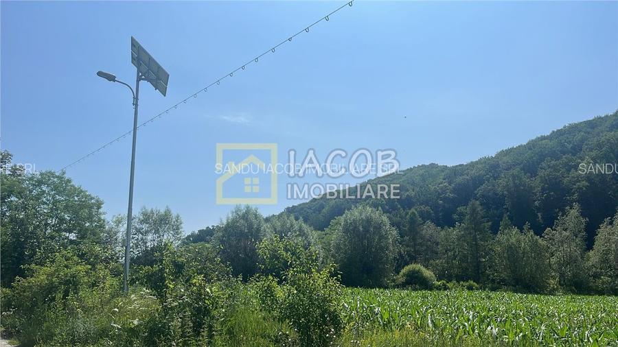 Teren Intravilan-Ideal Investitie-Podis,Margineni,Bacau - 3