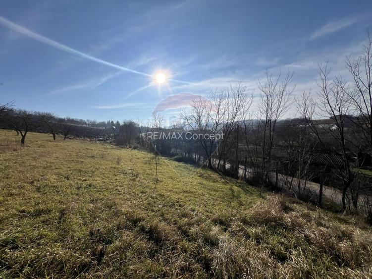 Teren intravilan, Bădeni, parcelabil - 3