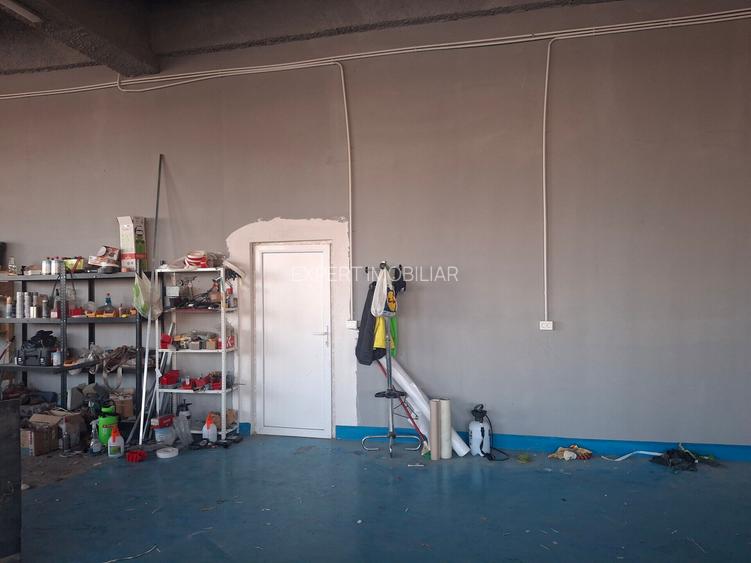 Spatiu industrial Pallady 163 mp - 8