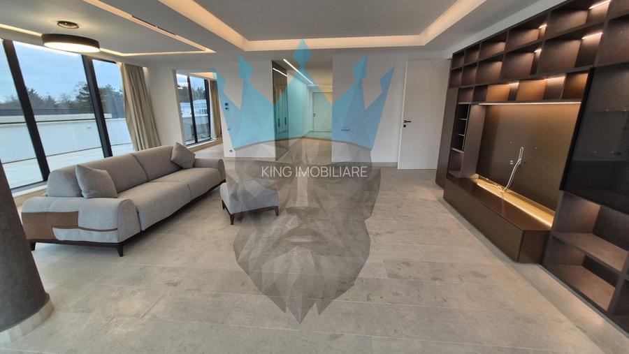 Penthouse 4 Camere Kiseleff Bucuresti - 5