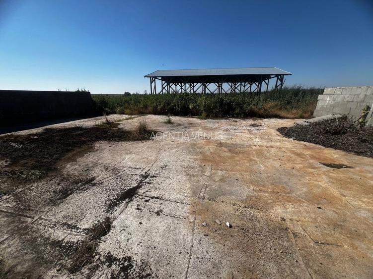 Spatiu pentru dispensar medical-veterinar si locuinta de serviciu cu teren mare - 4