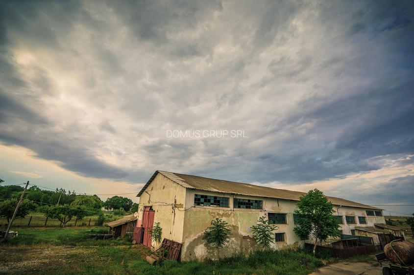 Inchiriere hala pentru depozitare sau productie  – Poarta Alba - 3