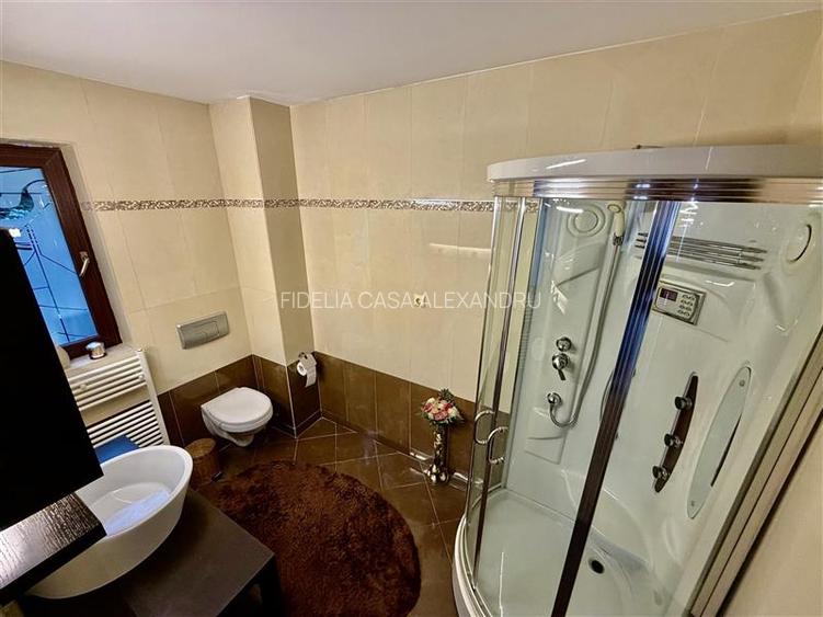 Casa vile de vânzare Buciuim-iasi - 18