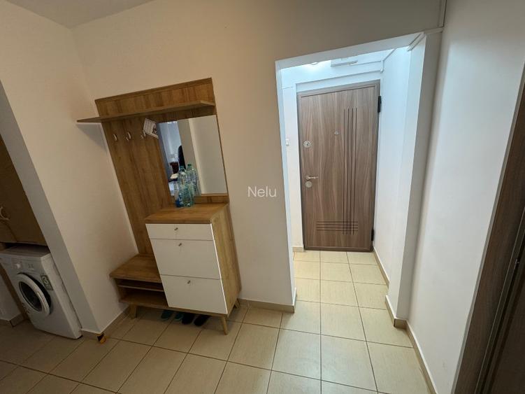 2 camere Teiul Doamnei stradal - 9