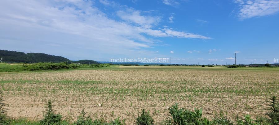 TEREN AGRICOL BABENI LANGA ABATOR LA PROVINCIA - pretabil ferma cu panour solare - 18