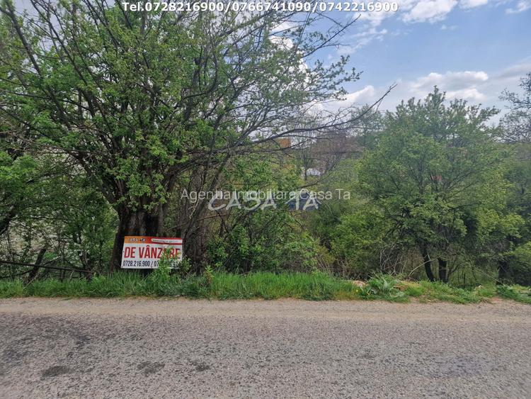 Teren Intravilan (671 mp),situat in Tetila - Bumbesti-Jiu - 7