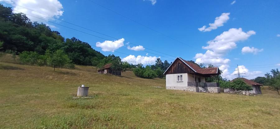 Vând proprietate (casă, șurā și 14368mp teren) în Valea Bradului, jud. Hunedoara - 11