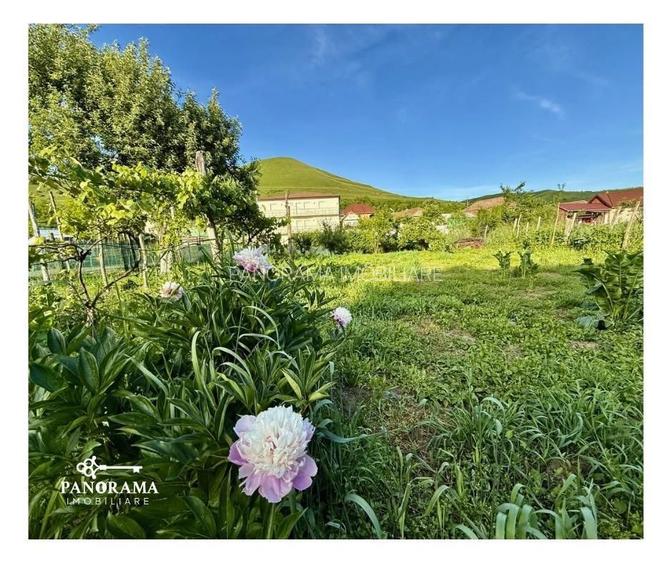 Casă tradițională la țară, în Dârlos - 16