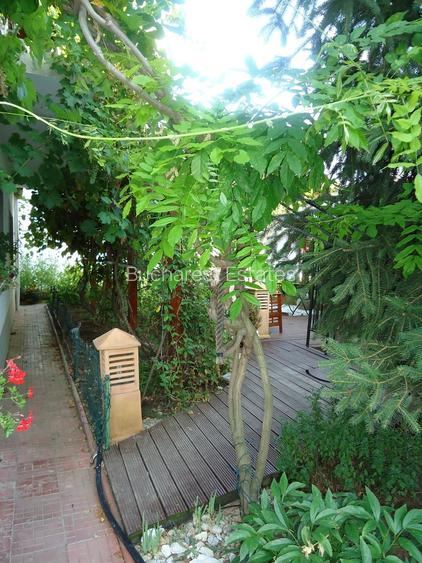 Vila piscina superba gradina matura cu iesire directa la padure - 25