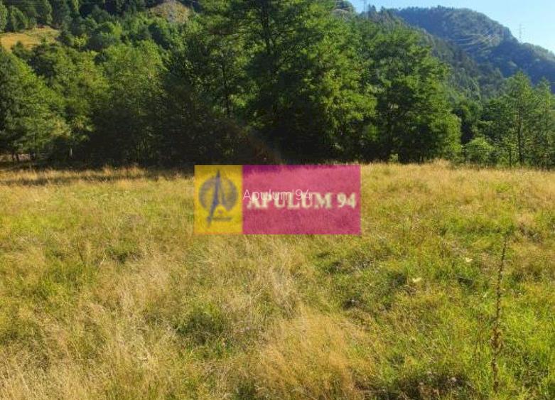 Teren Județul Vâlcea - Brezoi, Valea lui Stan - 23