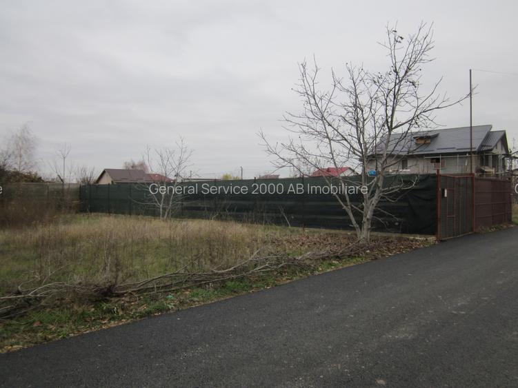 Drumul Targului-Stelelor - 3