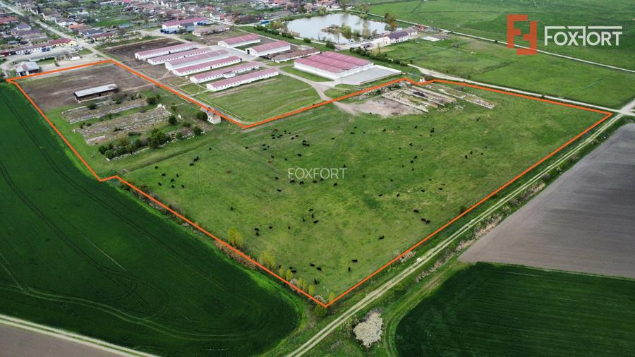 Teren intravilan cu suprafata de 58.340 mp, in Sanmartinul Sarbesc - 4