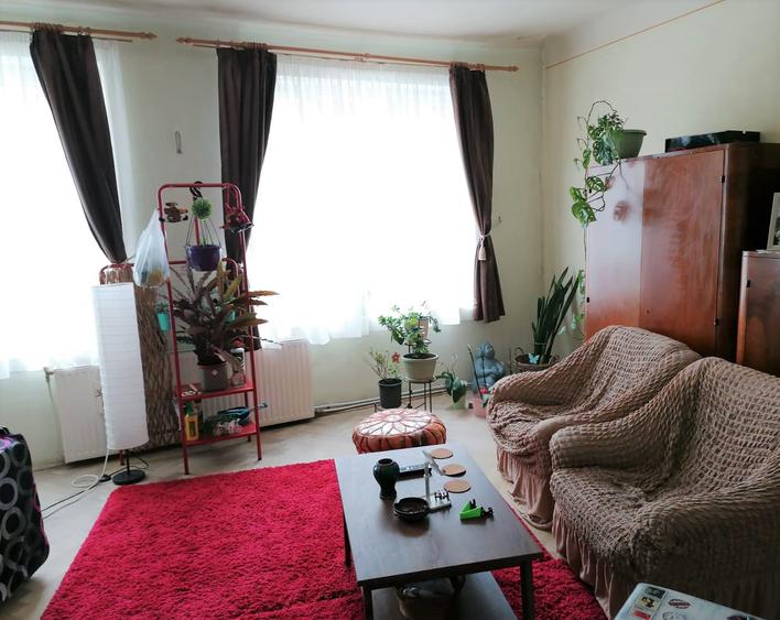 Apartament zona str.Republicii,  pretabil activitati  comerciale - 3