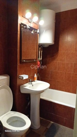 Apartament cu 2 camere, complet renovat, vedere superbă Băile Herculane - 6